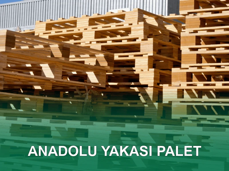 Anadolu Yakası Palet Galeri 1
