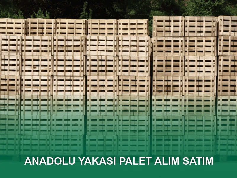 Anadolu Yakası Palet Galeri 3