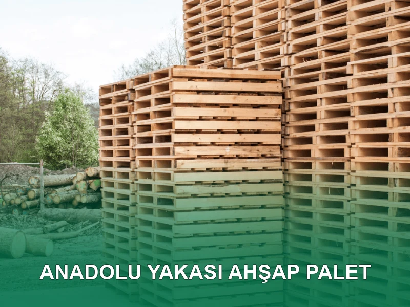 Anadolu Yakası Palet Galeri 4