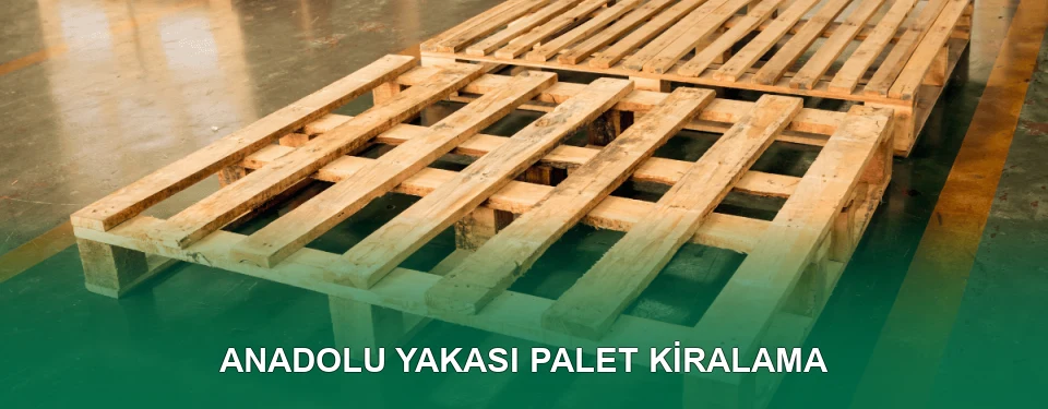 Anadolu Yakası Palet Kiralama Hizmeti